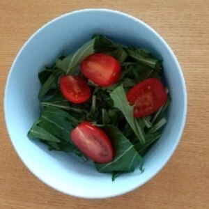 簡単♡水菜トマトのサラダ♡バルサミコ酢ドレッシング